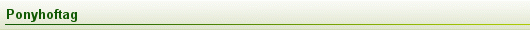 Ponyhoftag