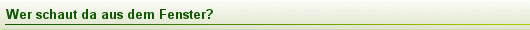 Wer schaut da aus dem Fenster?