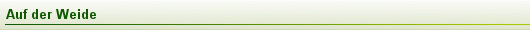 Auf der Weide